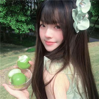 小森林 夏秋篇